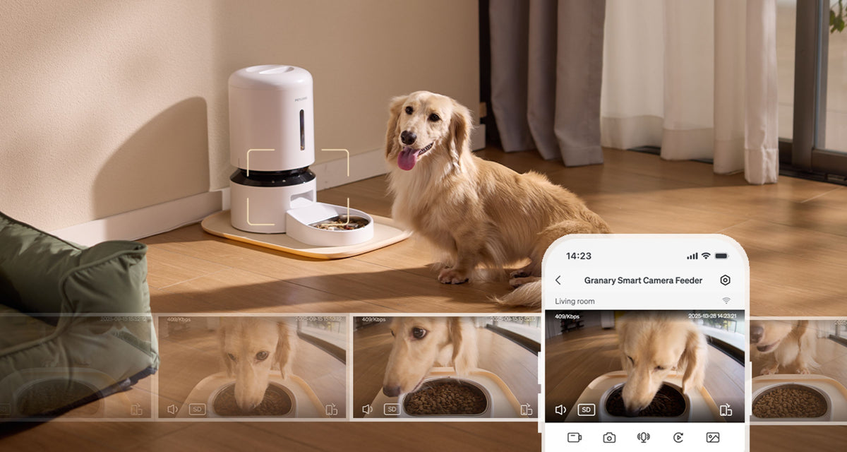 Granary Smart Camera Feeder - 1 & 2 Bowl Options