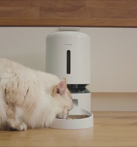 Granary Smart Camera Feeder - 1 & 2 Bowl Options